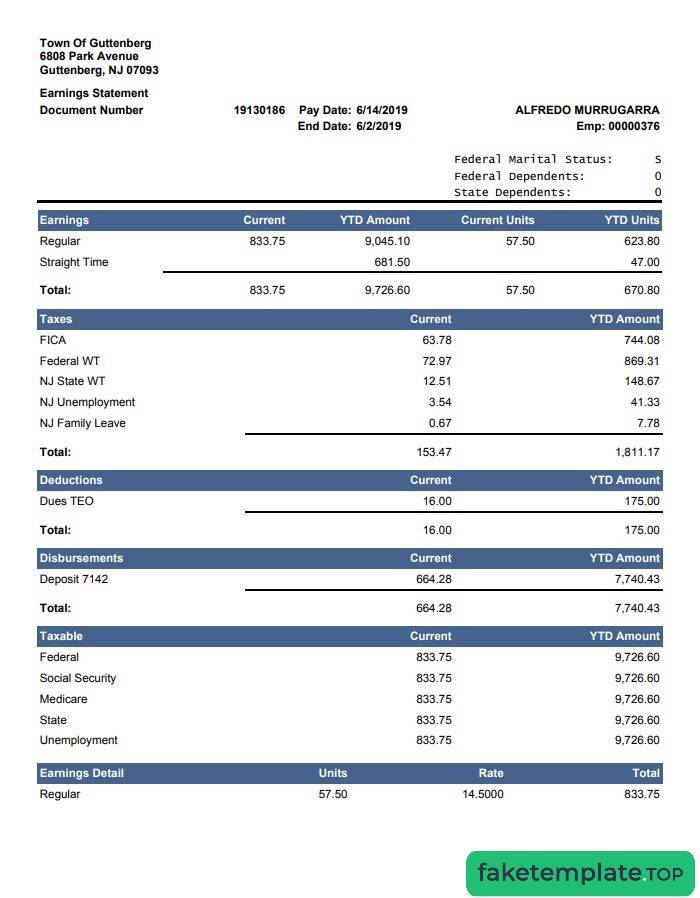 Feature of fake Current YTD Amount earnings statement